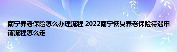 南宁养老保险怎么办理流程 2022南宁恢复养老保险待遇申请流程怎么走