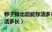 卵子排出后能存活多长时间（卵子排出后能存活多长）