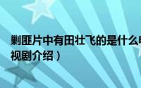 剿匪片中有田壮飞的是什么电视剧（剿匪片中有田壮飞的电视剧介绍）