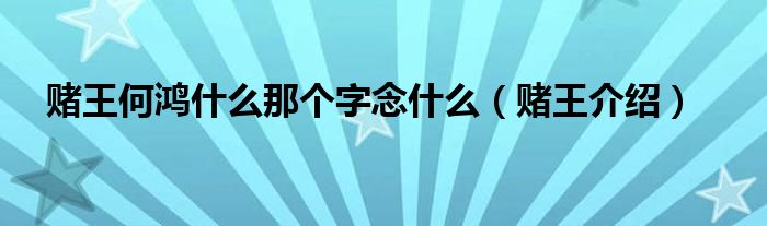 赌王何鸿什么那个字念什么（赌王介绍）