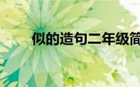 似的造句二年级简单的（似的造句）