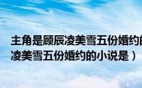 主角是顾辰凌美雪五份婚约的小说名字叫什么（主角是顾辰凌美雪五份婚约的小说是）