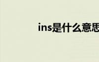 ins是什么意思（ins的意思）