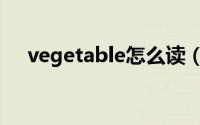 vegetable怎么读（vegetable如何读）