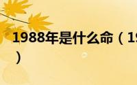 1988年是什么命（1988年属龙人的命运分析）