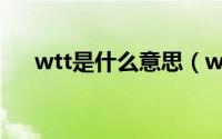 wtt是什么意思（wtt具体是什么意思）