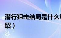 潜行狙击结局是什么意思（潜行狙击电视剧介绍）