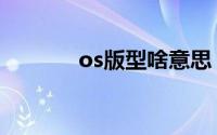 os版型啥意思（os版型介绍）