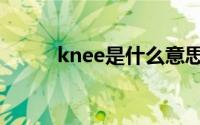 knee是什么意思（knee的含义）