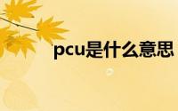 pcu是什么意思（pcu意思简述）