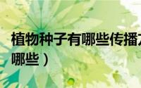 植物种子有哪些传播方式（种子的传播方式有哪些）