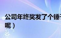 公司年终奖发了个锤子怎么回事（是什么意思呢）