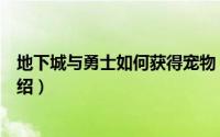 地下城与勇士如何获得宠物（地下城与勇士获得宠物方法介绍）