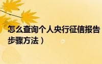 怎么查询个人央行征信报告（网上查询个人征信系统报告的步骤方法）