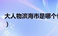 大人物滨海市是哪个省的城市（滨海市的简介）