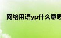 网络用语yp什么意思（网络用语yp含义）