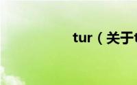 tur（关于tur的介绍）