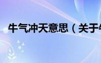 牛气冲天意思（关于牛气冲天意思的介绍）