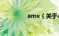 amx（关于amx的介绍）