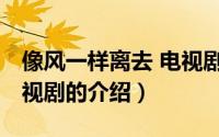 像风一样离去 电视剧（关于像风一样离去 电视剧的介绍）