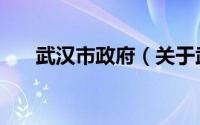 武汉市政府（关于武汉市政府的介绍）