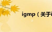 igmp（关于igmp的介绍）