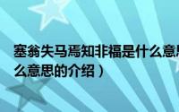 塞翁失马焉知非福是什么意思（关于塞翁失马焉知非福是什么意思的介绍）