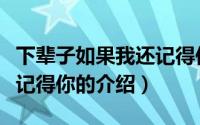 下辈子如果我还记得你（关于下辈子如果我还记得你的介绍）