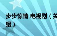 步步惊情 电视剧（关于步步惊情 电视剧的介绍）