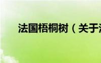 法国梧桐树（关于法国梧桐树的介绍）