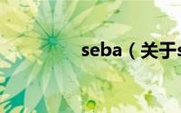 seba（关于seba的介绍）