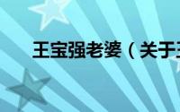 王宝强老婆（关于王宝强老婆的介绍）