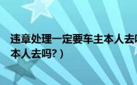 违章处理一定要车主本人去吗（去车管所处理违章需要车主本人去吗?）