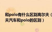 和polo有什么区别高尔夫（高尔夫汽车和polo的区别高尔夫汽车和polo的区别）