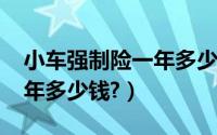 小车强制险一年多少钱2020（小车强制险一年多少钱?）