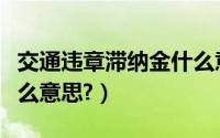 交通违章滞纳金什么意思（交通罚款滞纳金什么意思?）