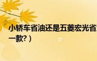 小轿车省油还是五菱宏光省油（五菱宏光suv最省油的是哪一款?）