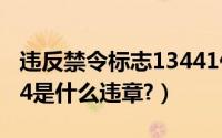 违反禁令标志13441什么意思（禁令标志1344是什么违章?）