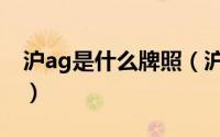 沪ag是什么牌照（沪ag新能源牌照什么意思）