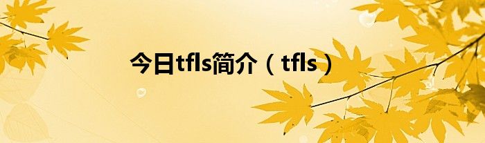 今日tfls简介（tfls）