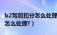 b2驾照扣分怎么处理流程（2019b2驾照扣分怎么处理?）