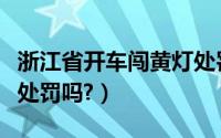 浙江省开车闯黄灯处罚吗（新交通法闯黄灯会处罚吗?）