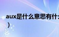 aux是什么意思有什么功能（aux是什么意思）