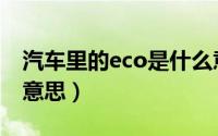 汽车里的eco是什么意思（汽车上eco是什么意思）