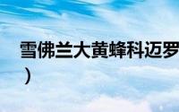 雪佛兰大黄蜂科迈罗（大黄蜂多少钱雪佛兰?）