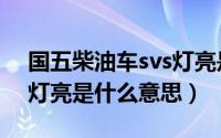 国五柴油车svs灯亮是什么意思（柴油车svs灯亮是什么意思）