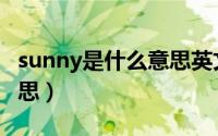 sunny是什么意思英文翻译（sunny是什么意思）