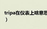 tripa在仪表上啥意思（tripa什么意思车上的）