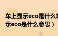 车上显示eco是什么意思要不要关上（车上显示eco是什么意思）