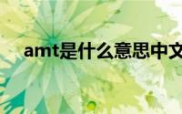 amt是什么意思中文（amt是什么意思）